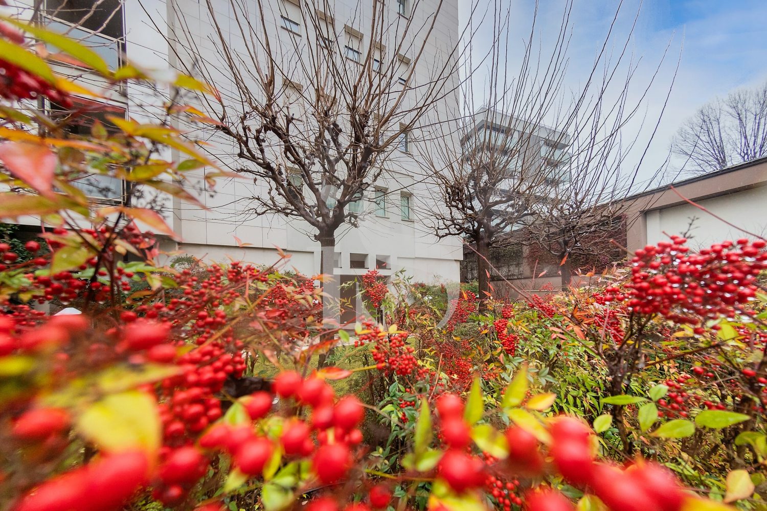 Milano Via Timavo venidta appartamento (26)