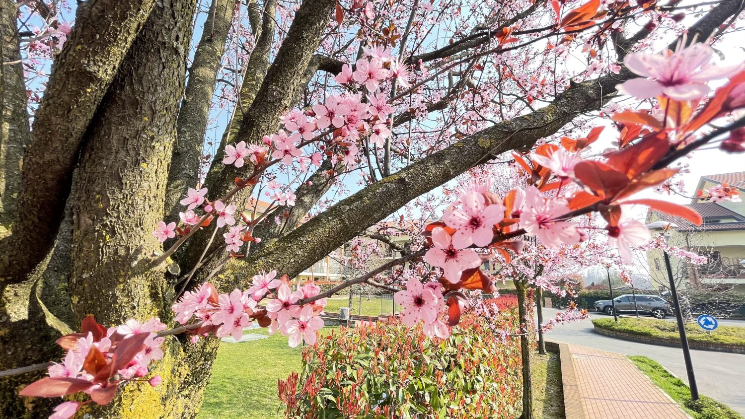 BILOCALE IN AFFITTO ORNAGO (22)