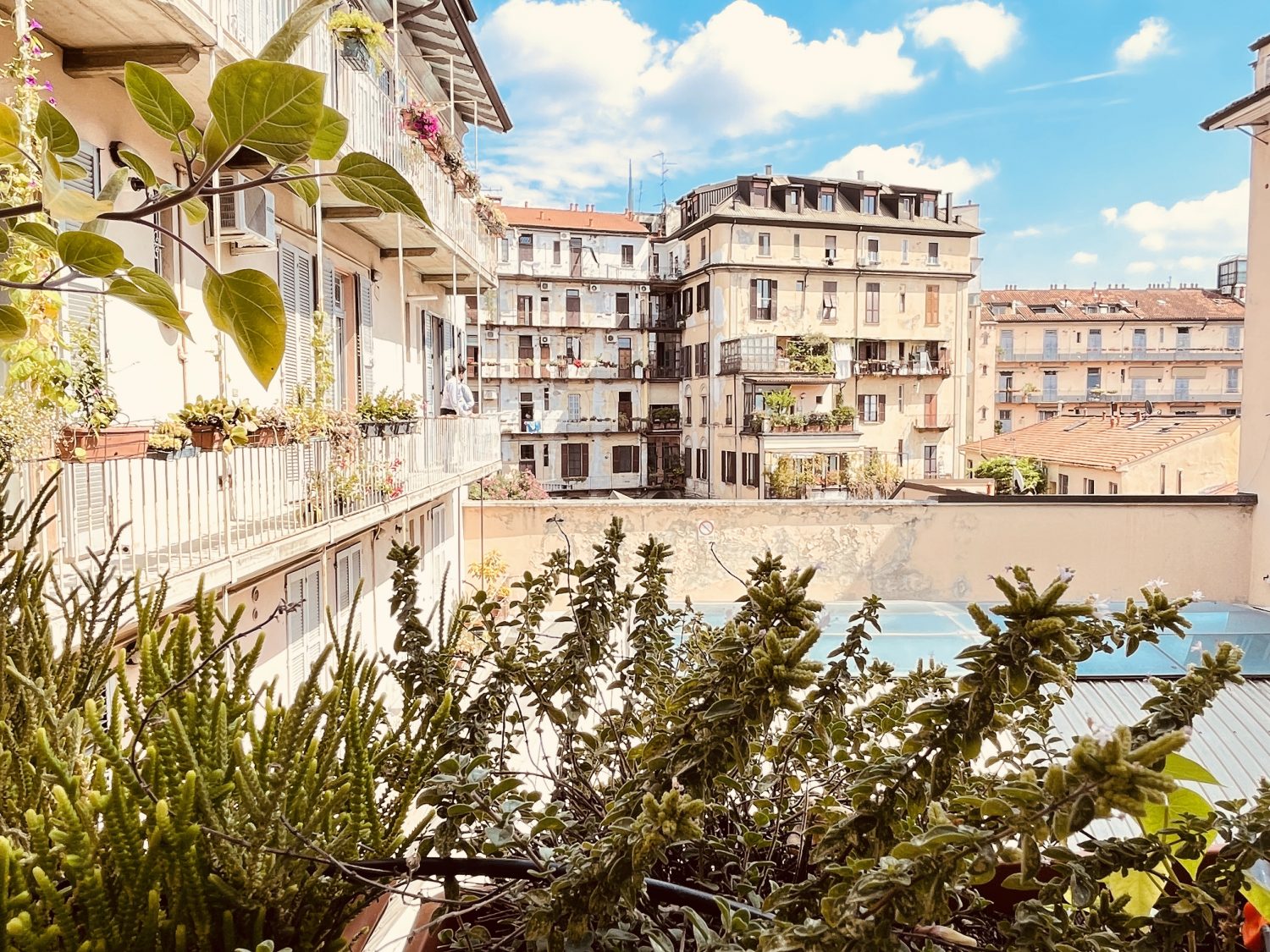 PAOLO SARPI 8 MILANO (12)