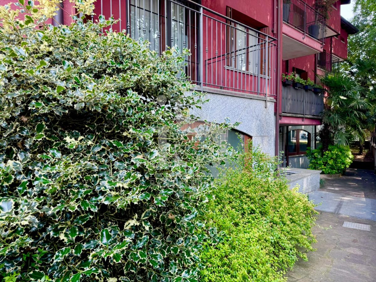 Monza Via Boito Vendita Ufficio image