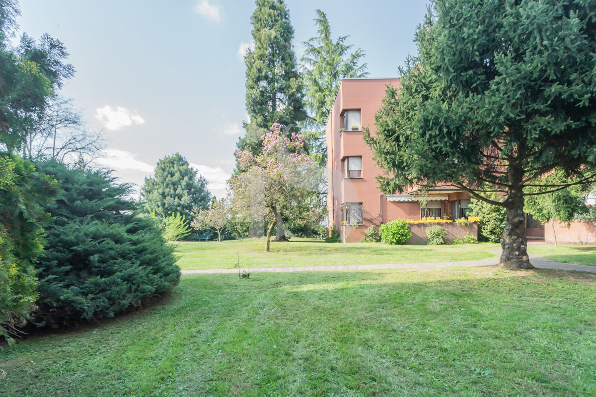 Sovico Viale Brianza Vendita Trilocale