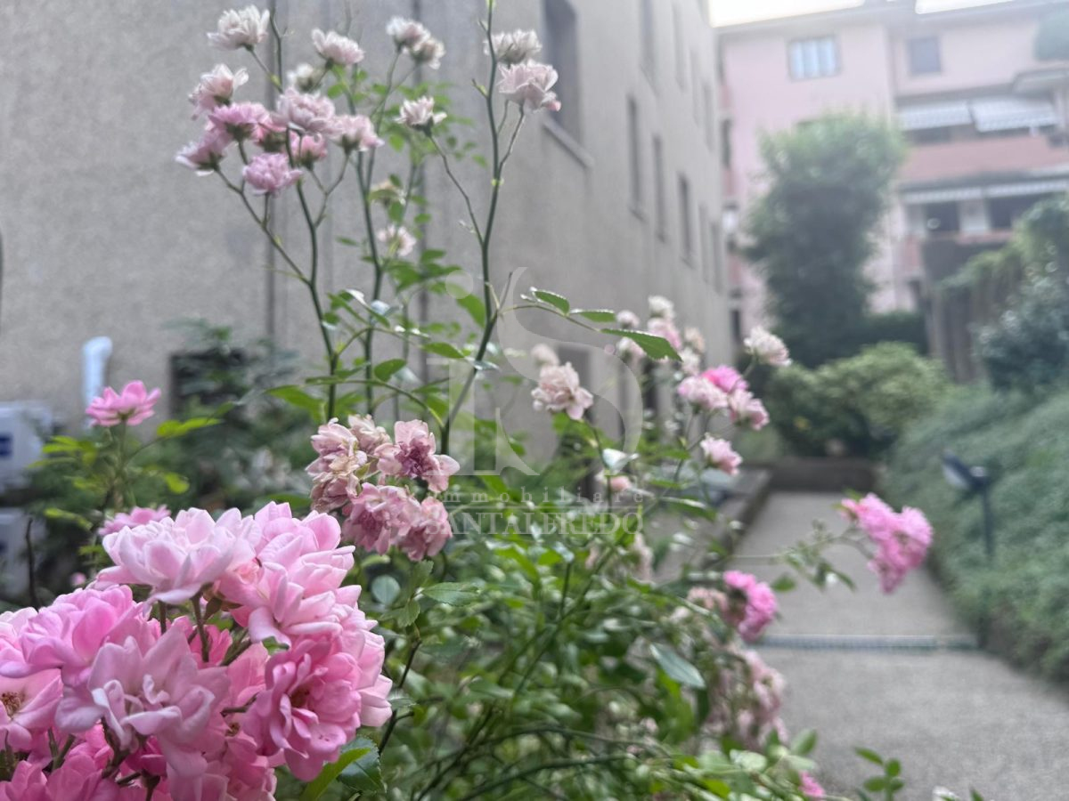 Bilocale in affitto a Concorezzo centro